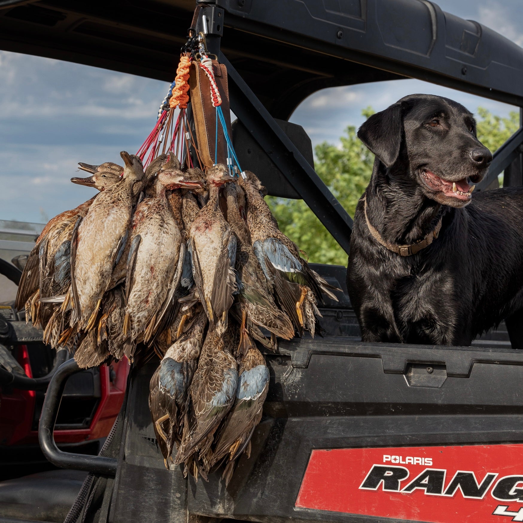 Teal Season Essentials
