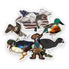 A Fowl Follower Sticker Bundle of different kinds of ducks.